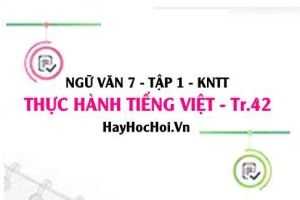 Soạn bài Thực hành tiếng Việt trang 42 lớp 7 Kết nối tri thức tập 1